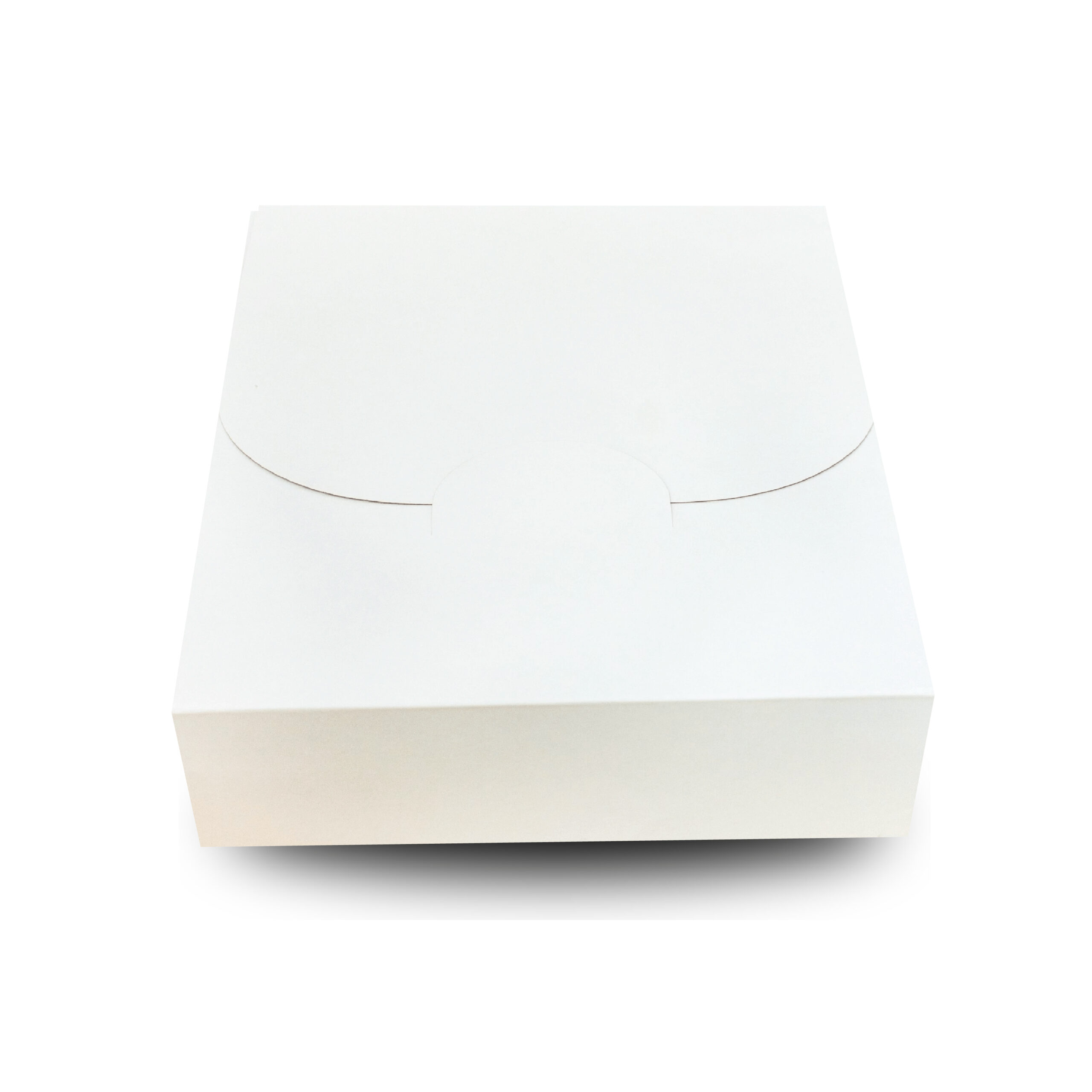 Caja ordenación blanca cierra fácil 36x28x16cm